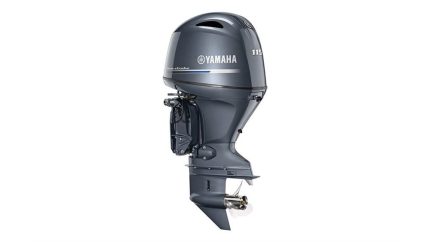 BUY 2022 Yamaha 115HP - 20